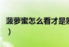 菠蘿蜜怎么看才是熟的（菠蘿蜜怎么看壞沒壞）