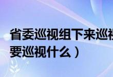 省委巡視組下來巡視哪些方面（省委巡視組主要巡視什么）