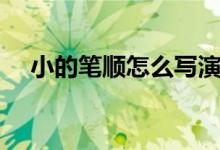 小的筆順怎么寫演示（小的筆順怎么寫）