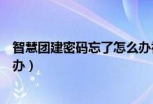 智慧團建密碼忘了怎么辦初始密碼（智慧團建密碼忘了怎么辦）