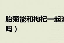 胎菊能和枸杞一起泡嗎（胎菊能和枸杞一起泡嗎）