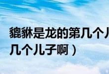 貔貅是龍的第幾個(gè)兒子怎么念（貔貅是龍的第幾個(gè)兒子?。?class=
