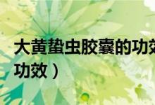 大黃蟄蟲膠囊的功效（大黃蟄蟲膠囊的作用與功效）