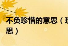 不負(fù)珍惜的意思（珍惜所有不負(fù)遇見(jiàn)是什么意思）