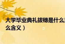 大學(xué)畢業(yè)典禮拔穗是什么意思（畢業(yè)典禮上的撥穗儀式有什么含義）