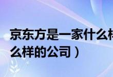 京東方是一家什么樣的公司（京東方是一家什么樣的公司）
