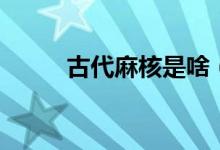 古代麻核是啥(古代麻核是什么)