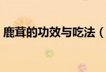 鹿茸的功效與吃法（關于鹿茸的功效與吃法）