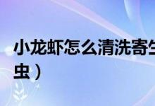 小龍蝦怎么清洗寄生蟲（小龍蝦怎么清洗寄生蟲）