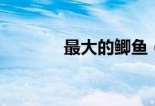 最大的鯽魚（最大的詩(shī)歌集）
