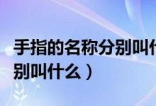 手指的名稱分別叫什么示意圖（手指的名稱分別叫什么）