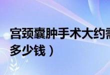 宮頸囊腫手術(shù)大約需要多少錢（手術(shù)宮頸囊腫多少錢）