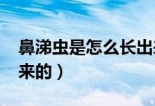 鼻涕蟲是怎么長出來的?（鼻涕蟲是怎么長出來的）