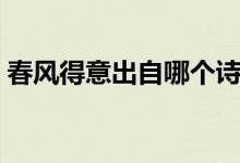 春風得意出自哪個詩（春風得意出自什么詩）