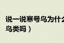 說一說寒號鳥為什么不是鳥類（寒號鳥屬于你鳥類嗎）