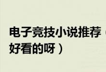 電子競技小說推薦（電子競技小說有哪些比較好看的呀）