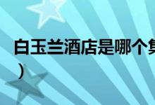 白玉蘭酒店是哪個集團的（白玉蘭酒店幾星級）