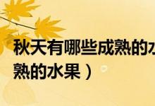 秋天有哪些成熟的水果畫一畫（秋天有哪些成熟的水果）