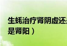 生蠔治療腎陰虛還是腎陽虛?（生蠔補腎陰還是腎陽）