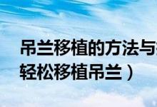 吊蘭移植的方法與技巧（吊蘭怎樣移栽 怎樣輕松移植吊蘭）