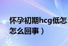 懷孕初期hcg低怎么食補（懷孕初期HCG低怎么回事）