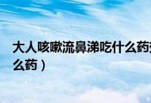 大人咳嗽流鼻涕吃什么藥效果好（大人感冒流鼻涕咳嗽吃什么藥）