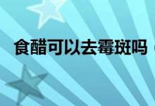 食醋可以去霉斑嗎（白醋對霉斑有作用嗎）
