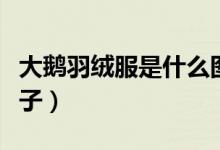 大鵝羽絨服是什么圖標(biāo)（大鵝羽絨服是什么牌子）