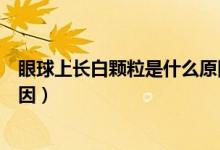 眼球上長白顆粒是什么原因（眼球長了一個白色顆粒什么原因）