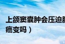 上頜竇囊腫會壓迫腦部神經(jīng)嗎（上頜竇囊腫會癌變嗎）