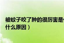 被蚊子咬了腫的很厲害是什么?。ū晃米右Я四[的很厲害是什么原因）