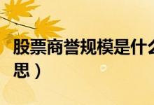 股票商譽規(guī)模是什么（股票商譽規(guī)模是什么意思）
