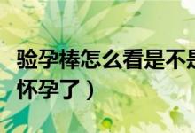 驗孕棒怎么看是不是宮外孕（驗孕棒怎么看是懷孕了）