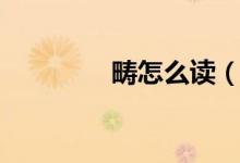 疇怎么讀（疇是什么意思）