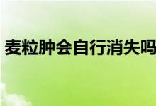 麥粒腫會(huì)自行消失嗎（麥粒腫會(huì)自行消除嗎）