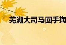 蕪湖大司馬回手掏(蕪湖大司馬的語錄)