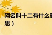 網名叫十二有什么意思（網名十二代表什么意思）