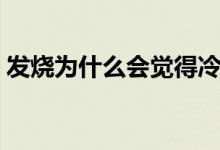 發(fā)燒為什么會覺得冷（發(fā)燒為什么會渾身疼）