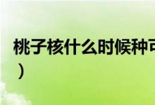 桃子核什么時(shí)候種可以發(fā)芽（桃子核什么垃圾）