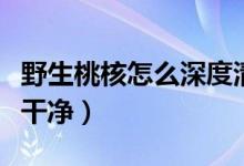 野生桃核怎么深度清理（野桃核怎么清理那么干凈）