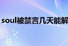 soul被禁言幾天能解禁（soul一般禁言多久）