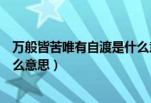 萬般皆苦唯有自渡是什么意思視頻（萬般皆苦唯有自渡是什么意思）