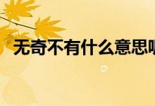 無奇不有什么意思呢（無奇不有什么意思）