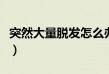 突然大量脫發(fā)怎么辦（突然大量脫發(fā)怎么回事）