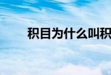 積目為什么叫積目（積目什么意思）