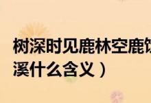 樹深時(shí)見鹿林空鹿飲溪（林深時(shí)見鹿林空鹿飲溪什么含義）