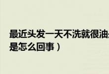 最近頭發(fā)一天不洗就很油是什么原因（一天不洗頭發(fā)就很油是怎么回事）