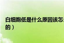 白細(xì)胞低是什么原因該怎么治療（白細(xì)胞低是什么原因引起的）