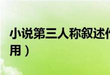 小說第三人稱敘述作用（小說第三人稱敘述作用）