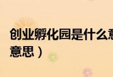 創(chuàng)業(yè)孵化園是什么意思?。▌?chuàng)業(yè)孵化園是什么意思）